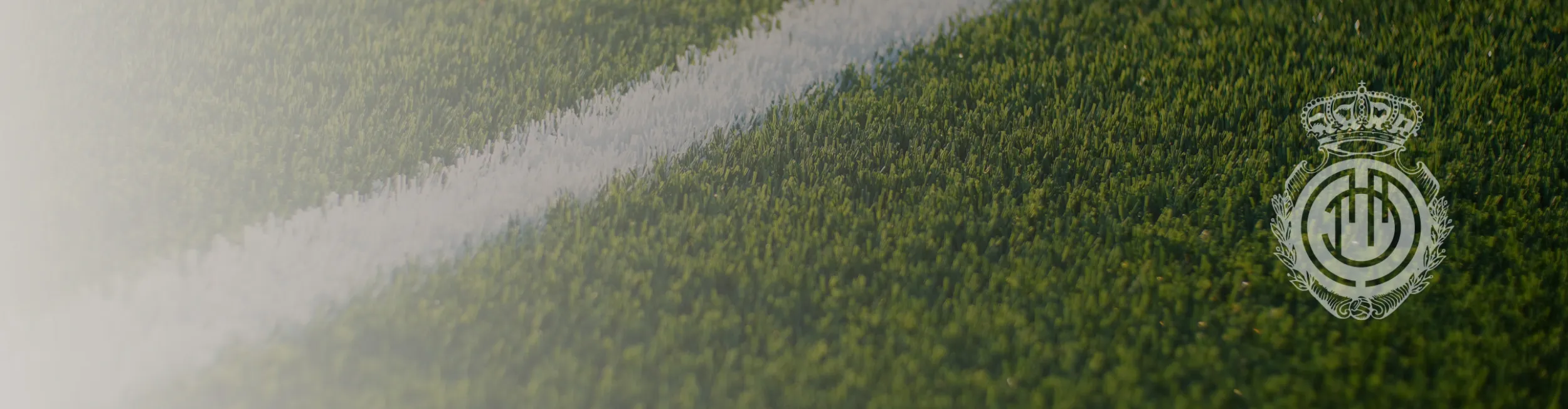 Memorial background